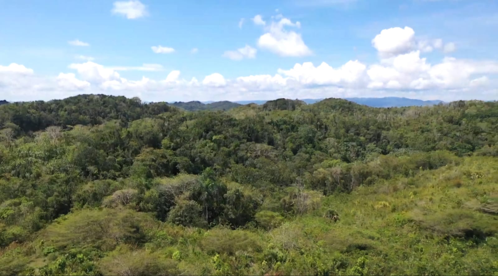 solares y terrenos -  Vive en armonía con la naturaleza en La Reserva 2