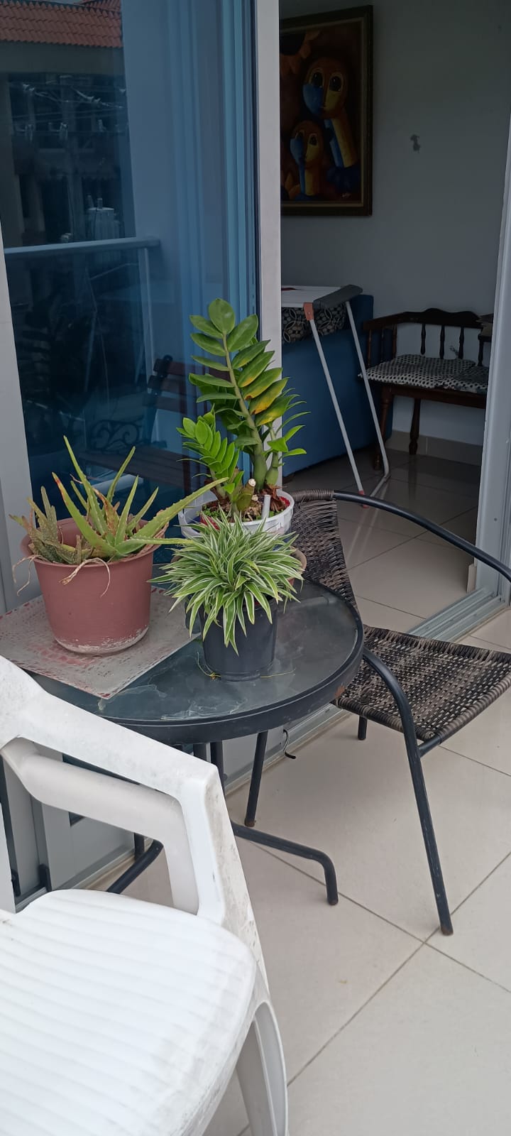 apartamentos - Apartamento en venta 0