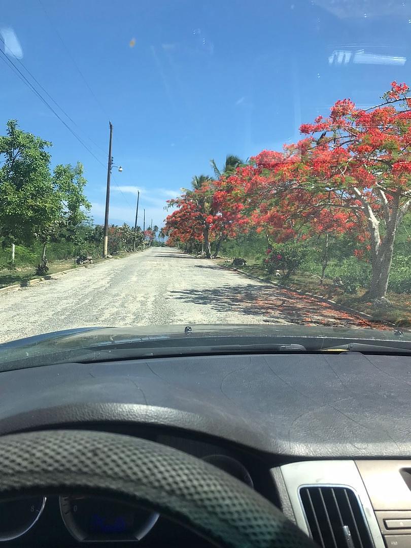 solares y terrenos - Vendo terreno en proyecto privado Las Americas, Juan Dolio,  
 3