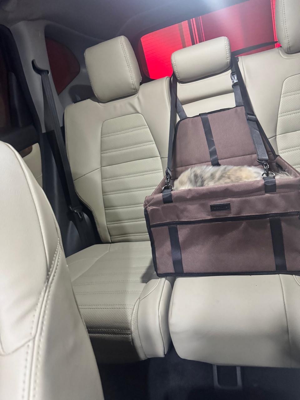 accesorios para vehiculos - Silla de Carro Para Cachorros  0
