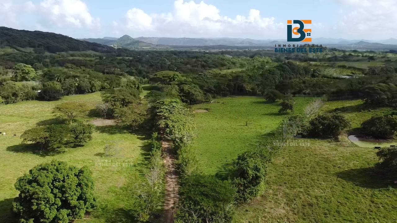 solares y terrenos - VENDO  32 Tareas de Tierra en Hato Mayor 2