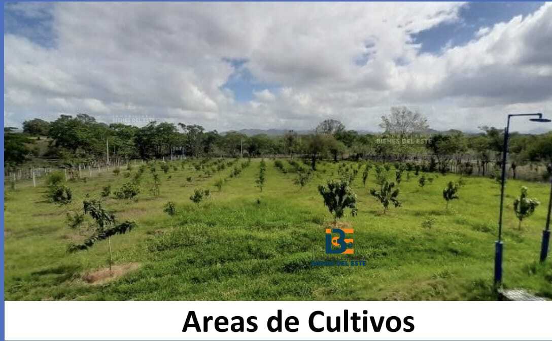 casas vacacionales y villas - Se vende Finca-Hacienda en HATO MAYOR. 9
