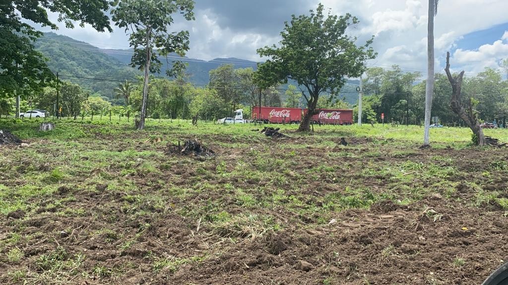solares y terrenos - Finca 289,340 mts en Bonao 0
