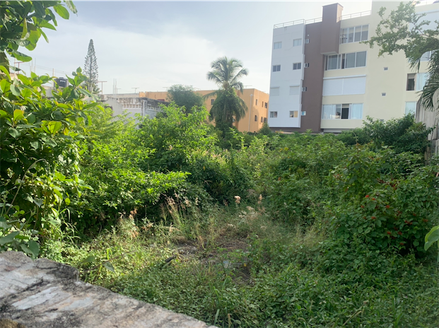 solares y terrenos - Solar comercial en el Millon 2