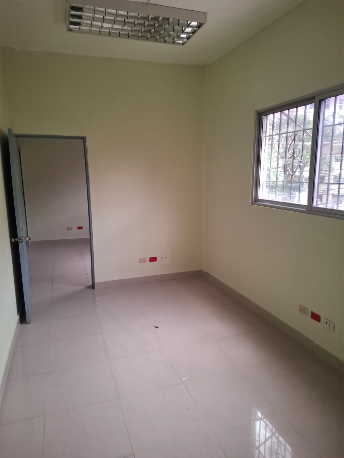 oficinas y locales comerciales - LOCLA COMERCIAL EN GAZCUE 2