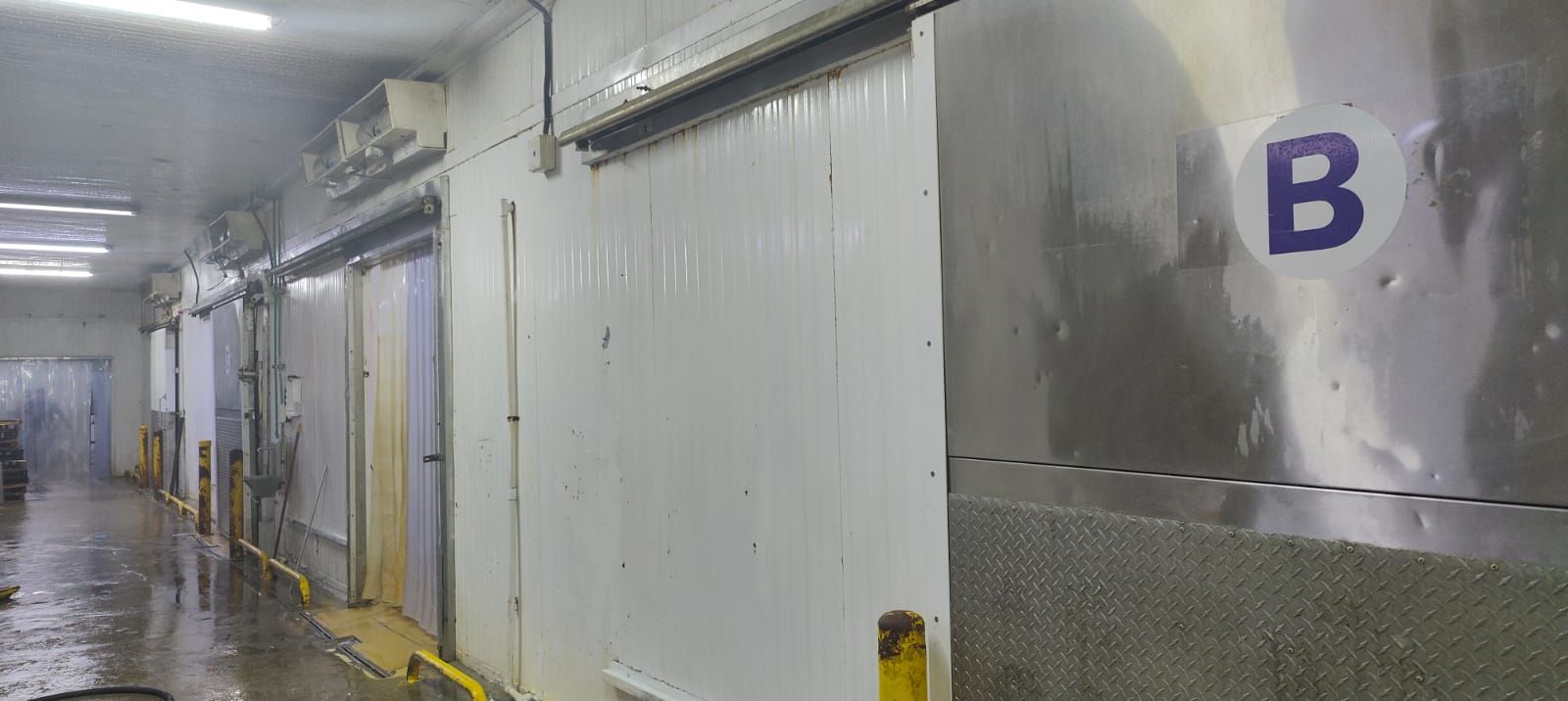 oficinas y locales comerciales - Nave refrigerada en Palamara 0