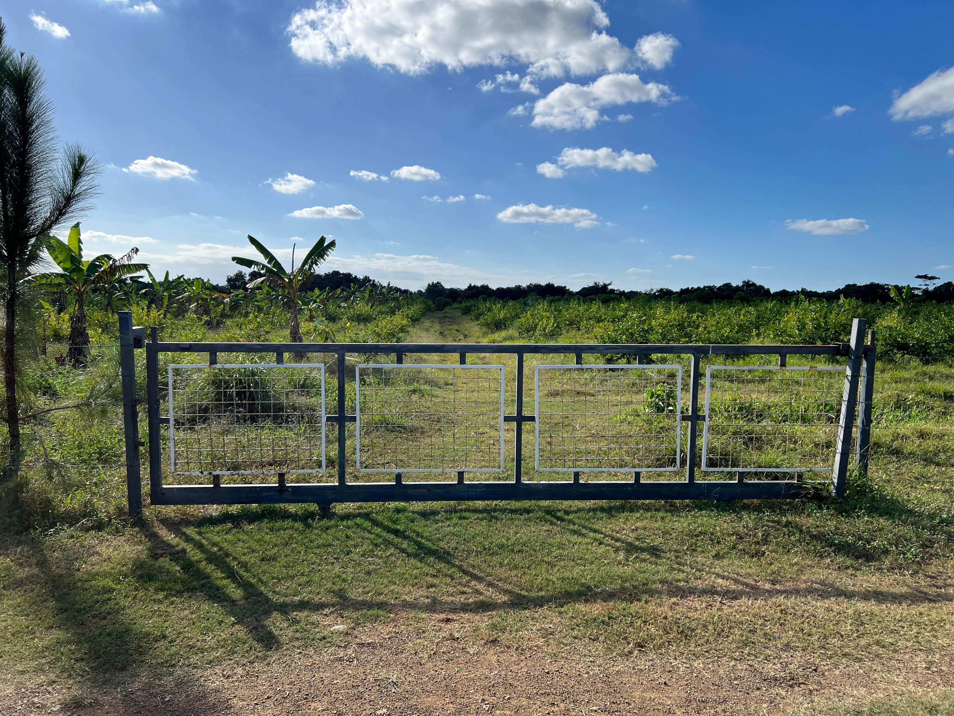 solares y terrenos - Finca GANADERA – AGRICOLA, de 386 tareas, con la major Ubicacion de Monte Plata 1
