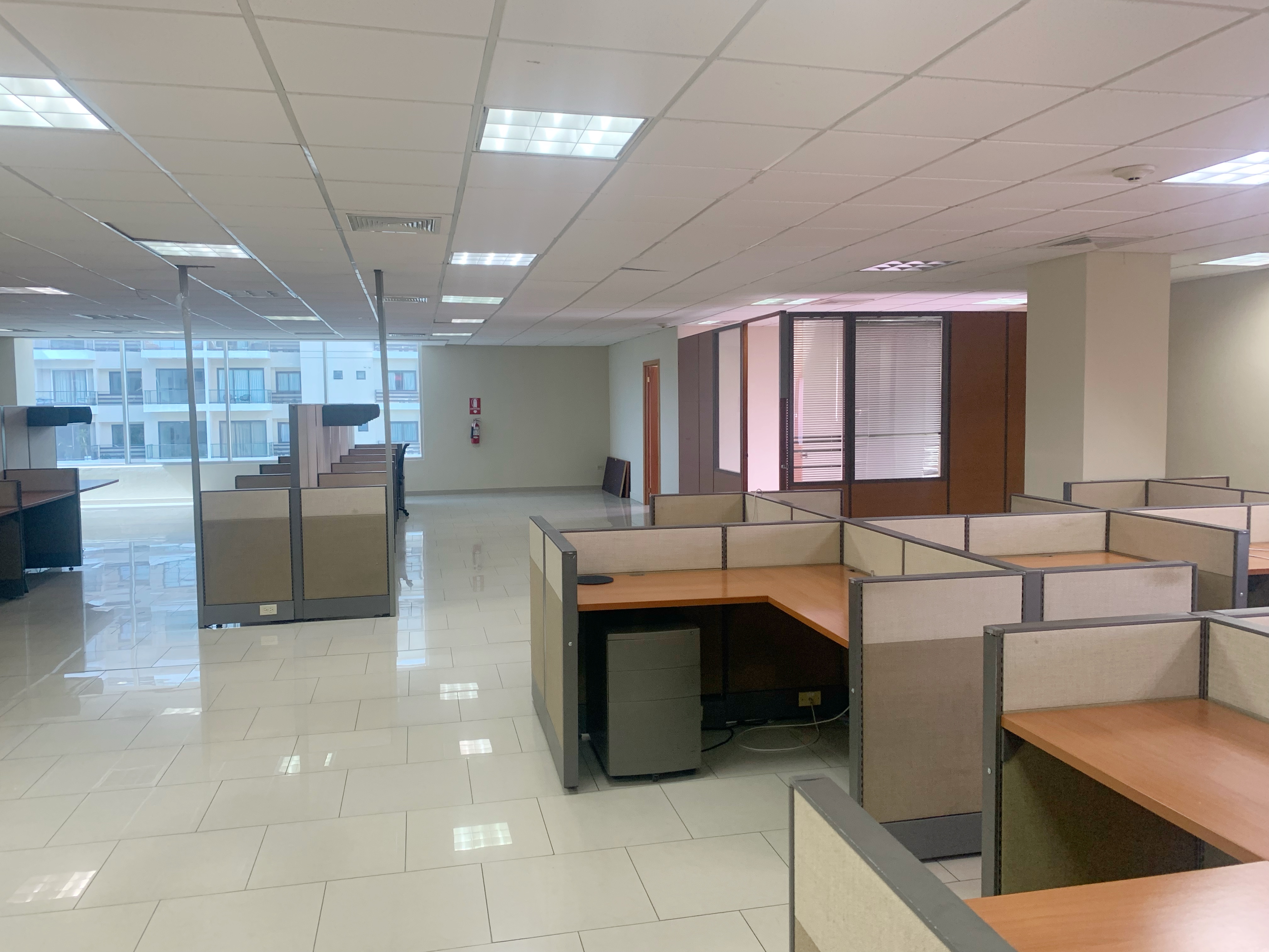 oficinas y locales comerciales - Local céntrico y corporativo 3