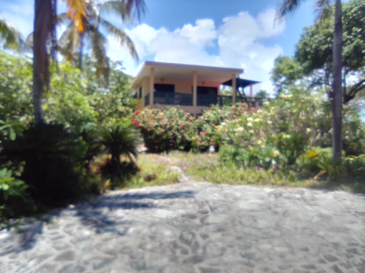 solares y terrenos - Terreno - Ville Fronte Mare Talanguera El Frances Las Galeras 5