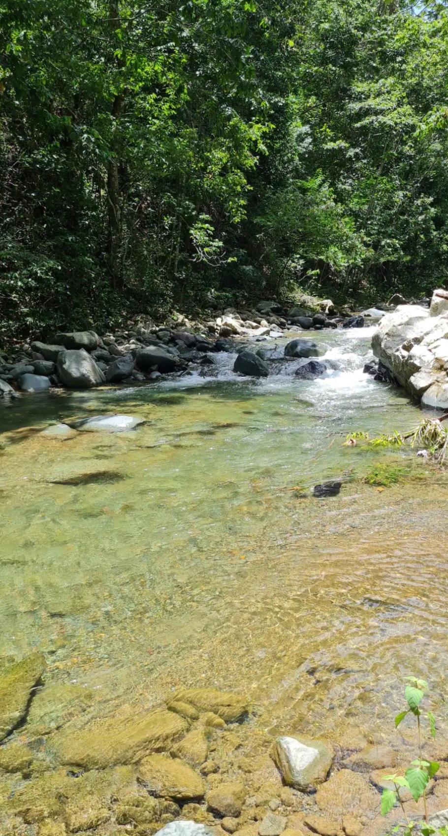 casas vacacionales y villas - Rincón Secreto en Mata de Plátano, Jarabacoa 9