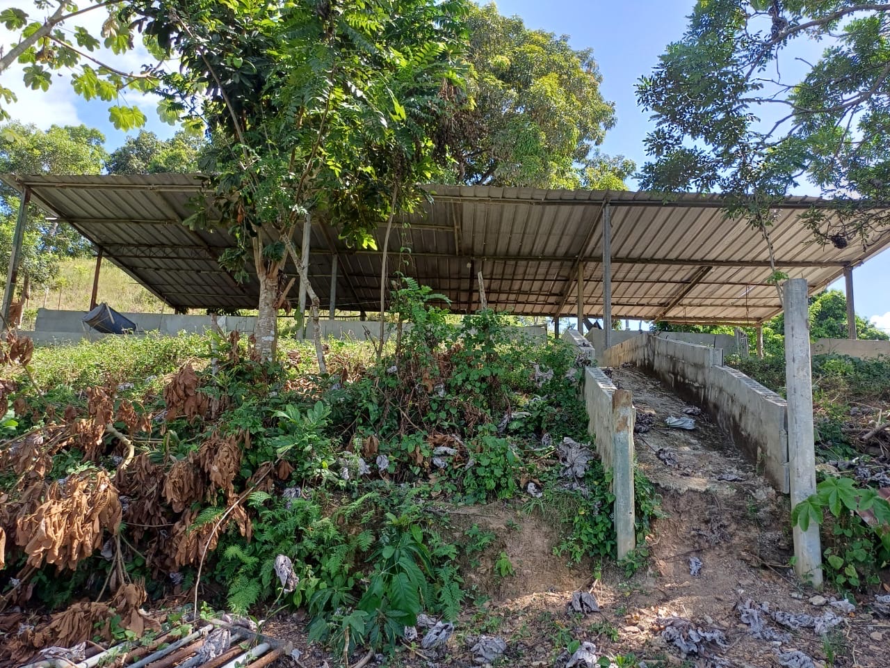 solares y terrenos - Venta de Finca en Gima, Fantino – Provincia Sánchez Ramírez 6