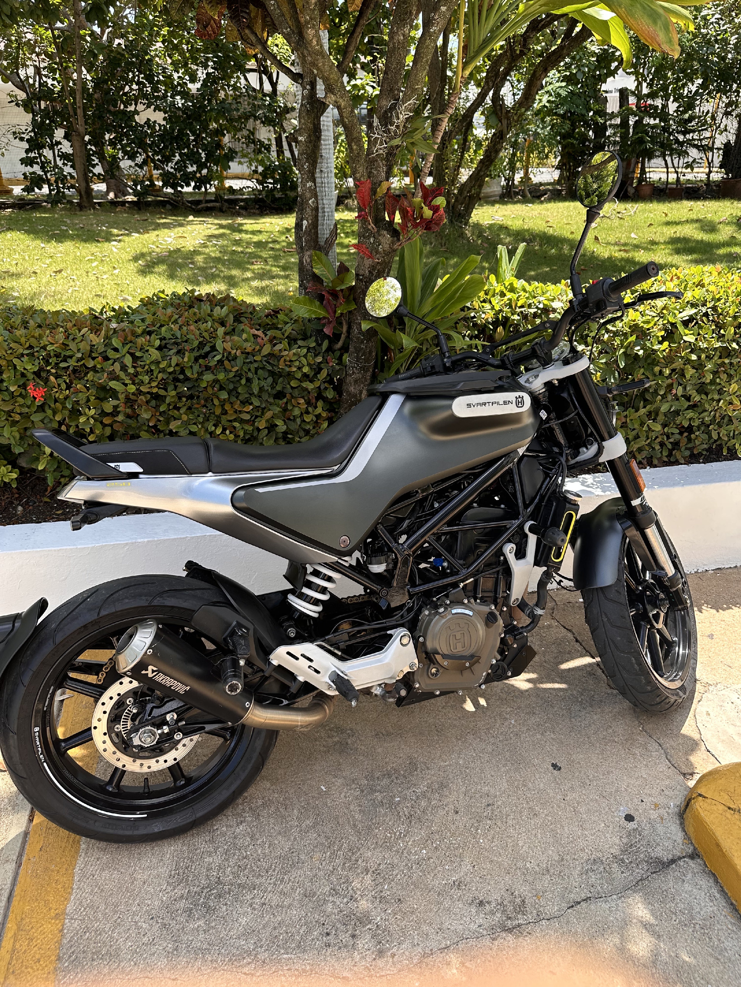 motores y pasolas - Svartpilen 250-2020 Husqvarna  1
