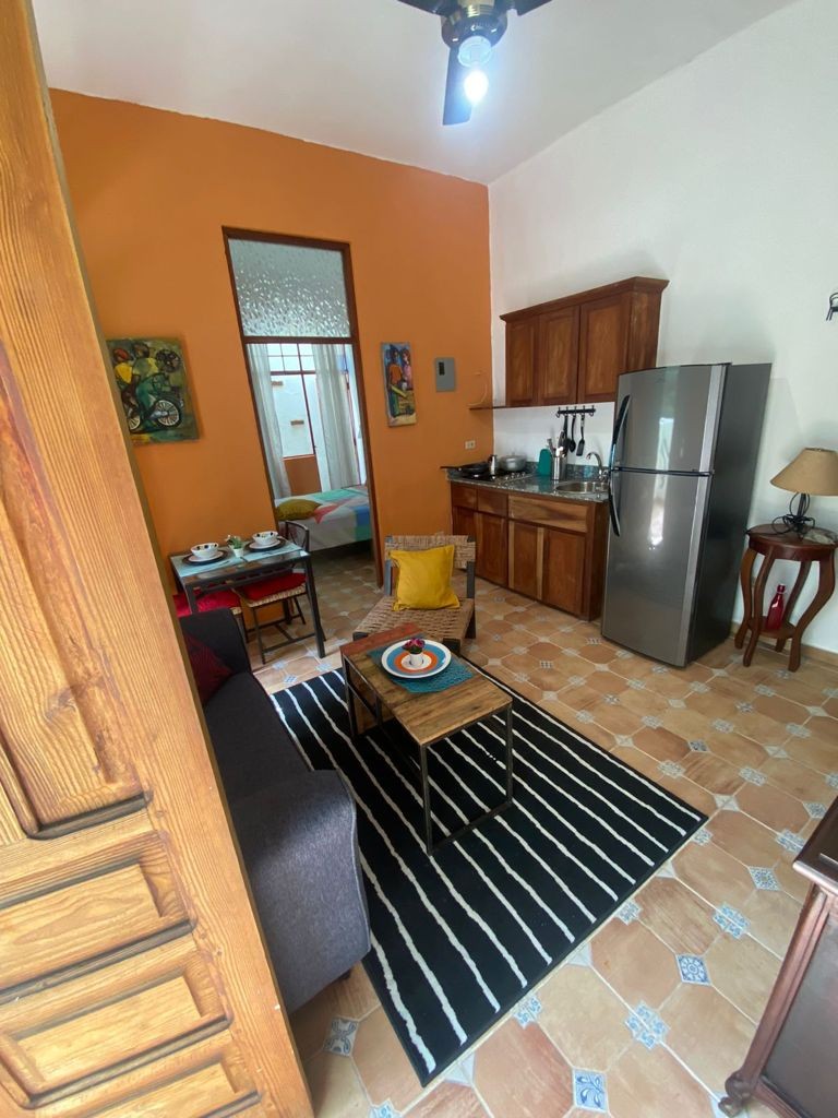 apartamentos - Alquiler Apartamento Amueblado de 2 Habitaciones con piscina, Ciudad Nueva 1