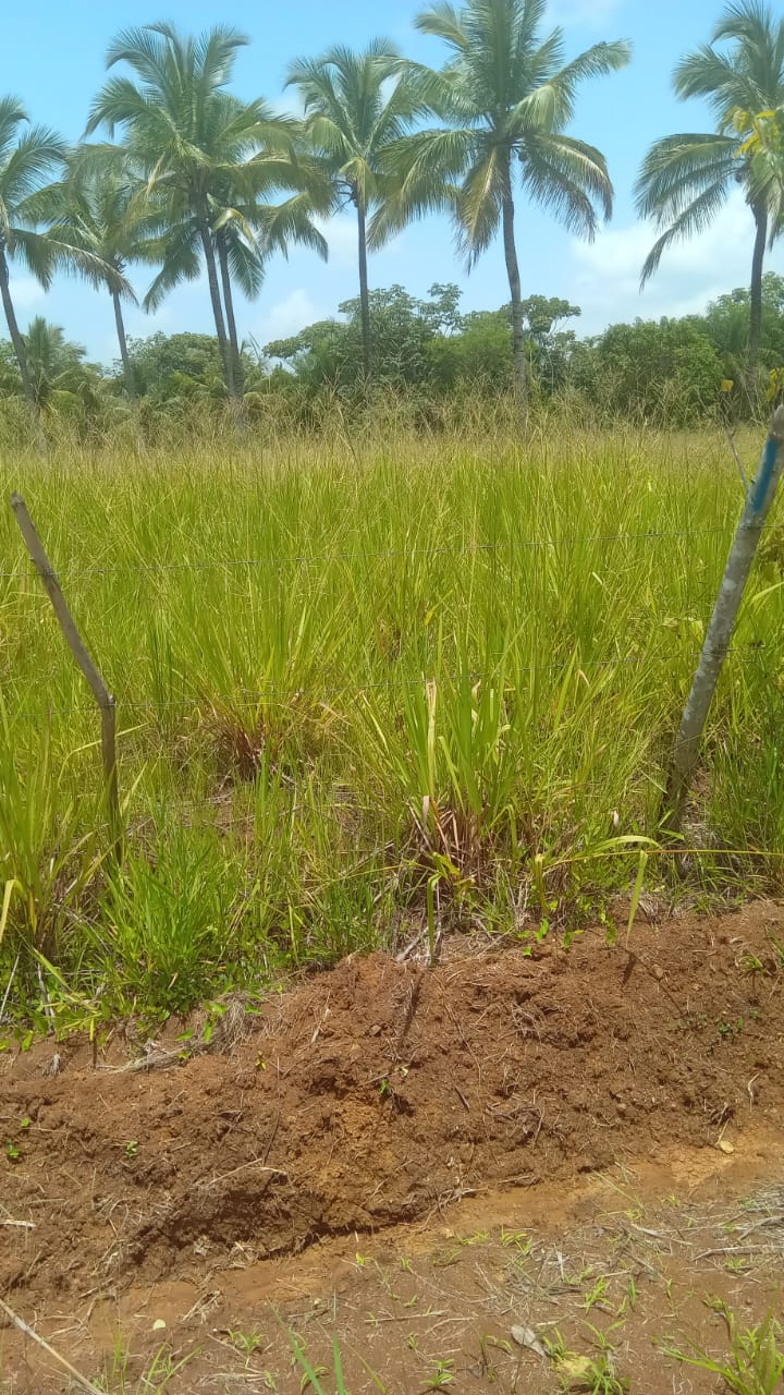 solares y terrenos - Finca en venta a 200mts de la Circunvalación 