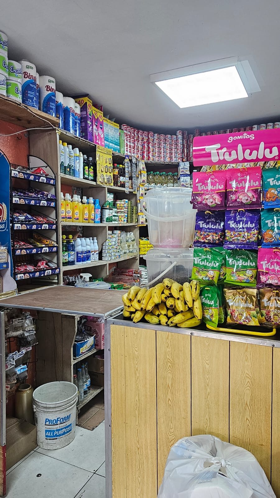oficinas y locales comerciales - Venta de colmado 6