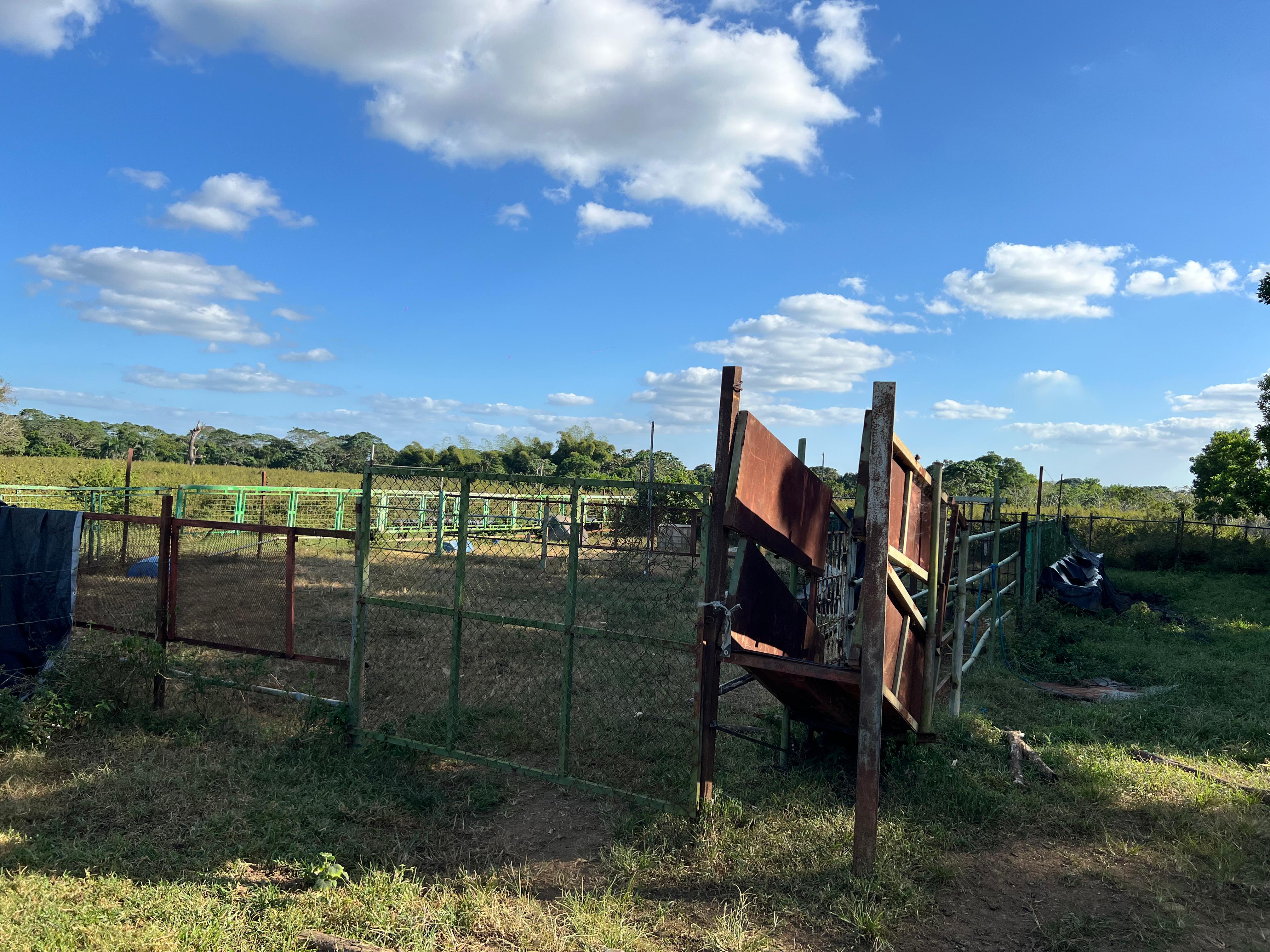 solares y terrenos - Finca GANADERA – AGRICOLA, de 386 tareas, con la major Ubicacion de Monte Plata 3