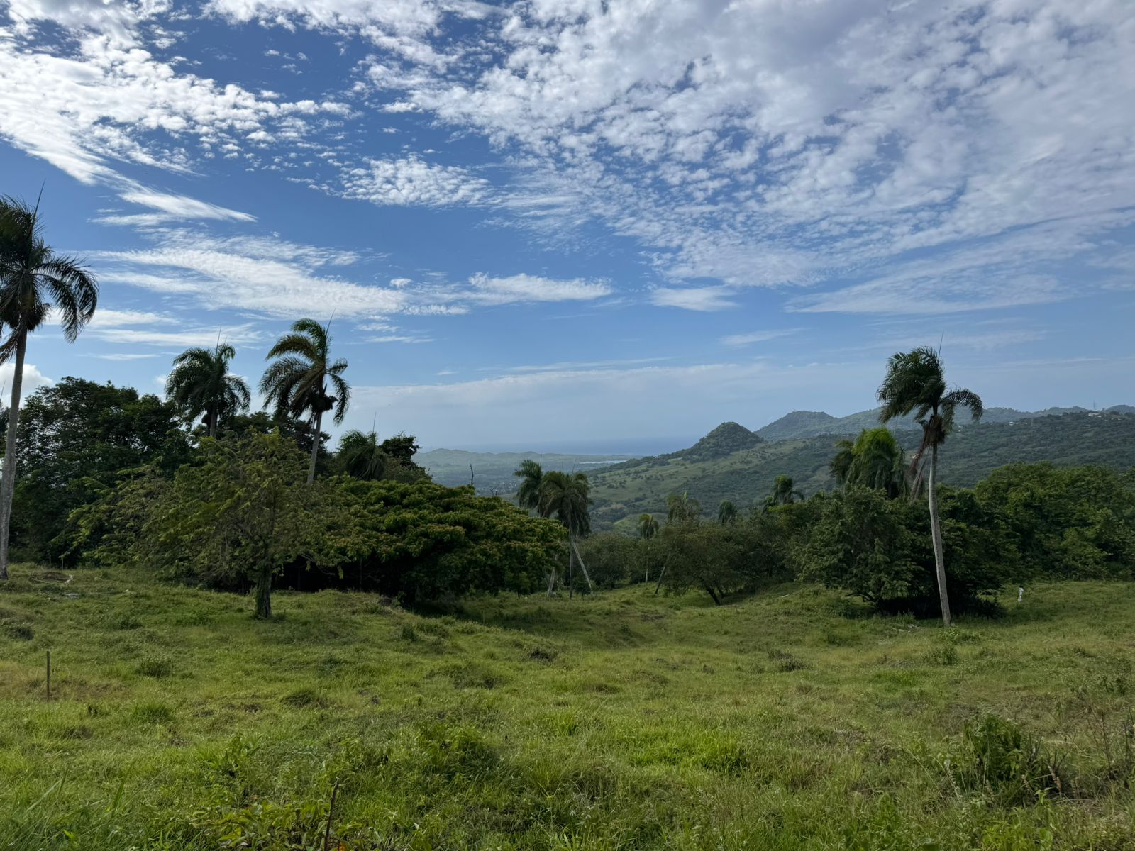 solares y terrenos - 🌿 Tropical Breeze Cupey – Proyecto Ecológico de 1