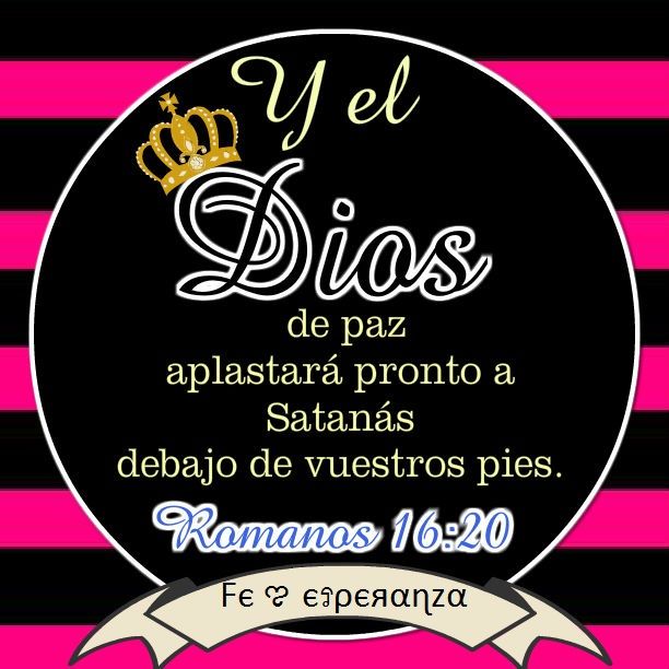 servicios profesionales - Cuido niños 0