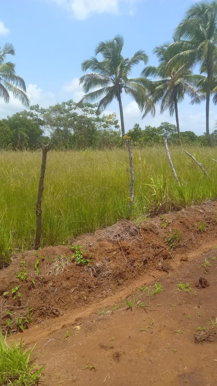 solares y terrenos - Finca en venta a 200mts de la Circunvalación  1