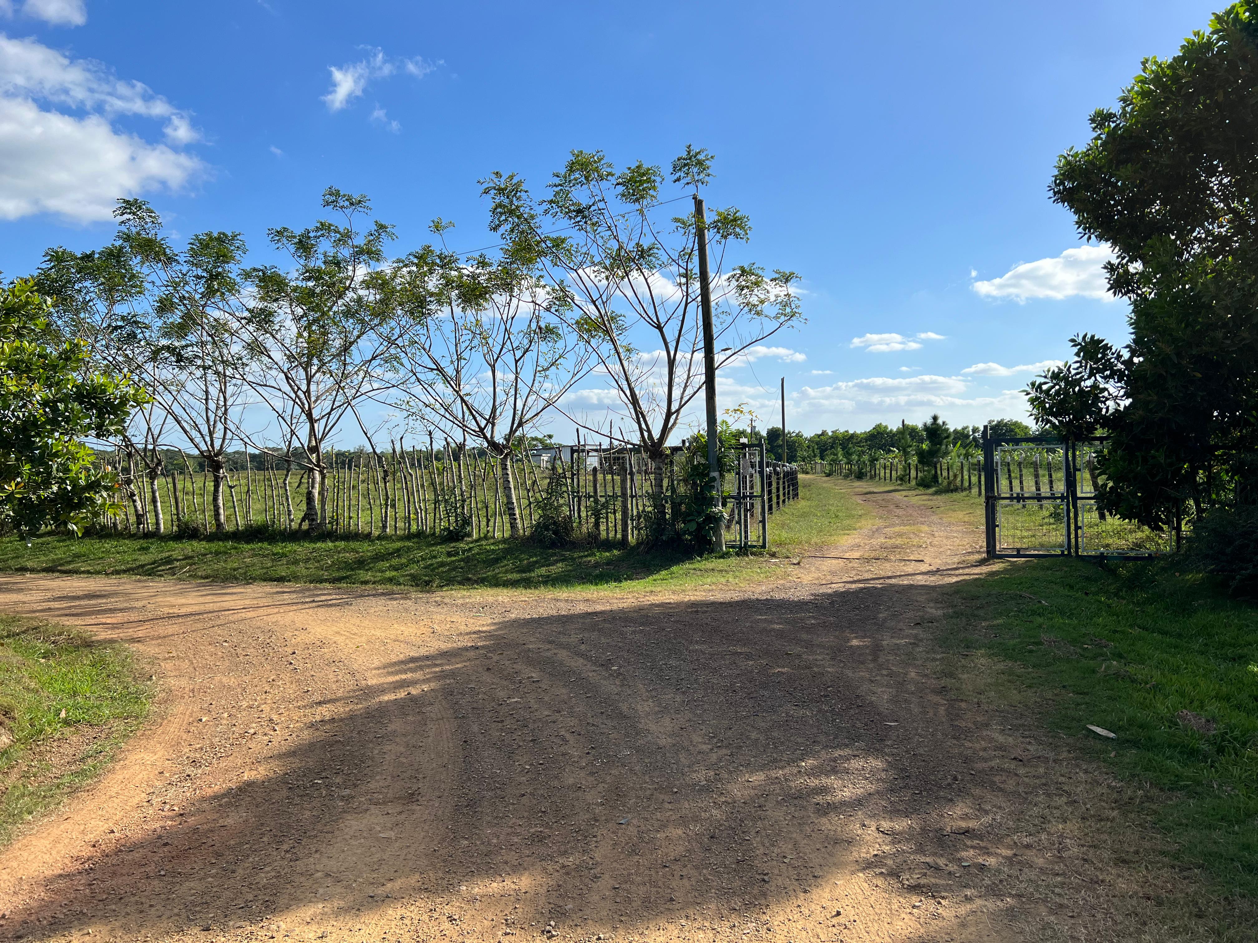 solares y terrenos - Finca GANADERA – AGRICOLA, de 386 tareas, con la major Ubicacion de Monte Plata 4