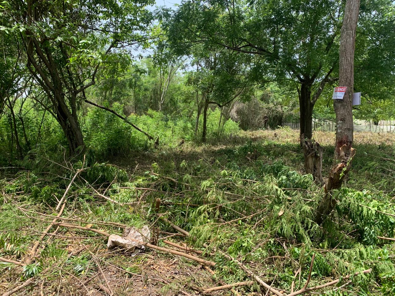 solares y terrenos - Solar llano y de fácil acceso en Guayacanes 3