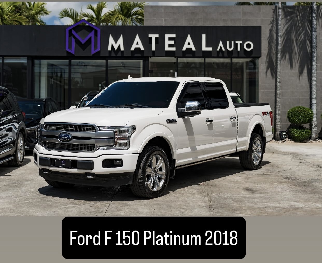 jeepetas y camionetas - F-150 platinum