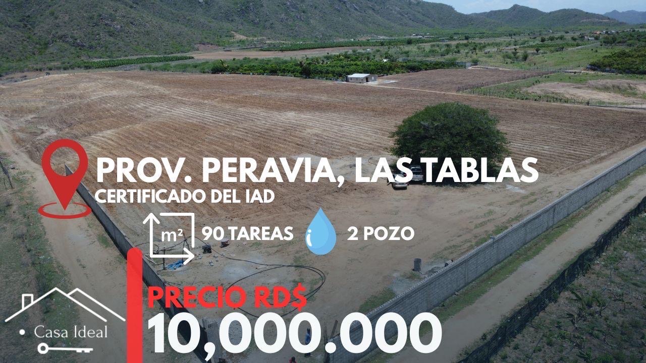 solares y terrenos - tierra lista para siembra las tablas Bani 90 tareas 