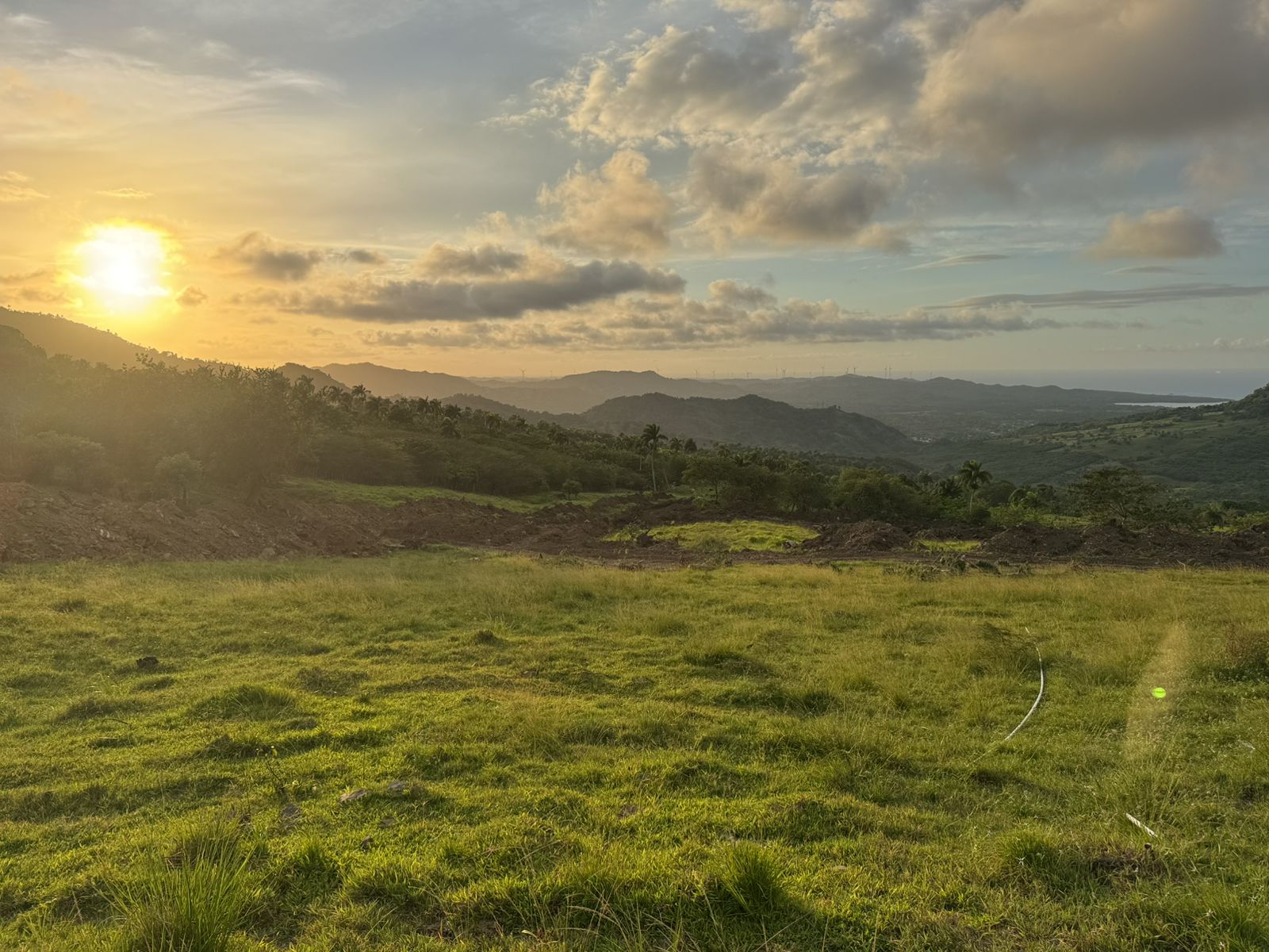 solares y terrenos - 🌿 Tropical Breeze Cupey – Proyecto Ecológico de 2