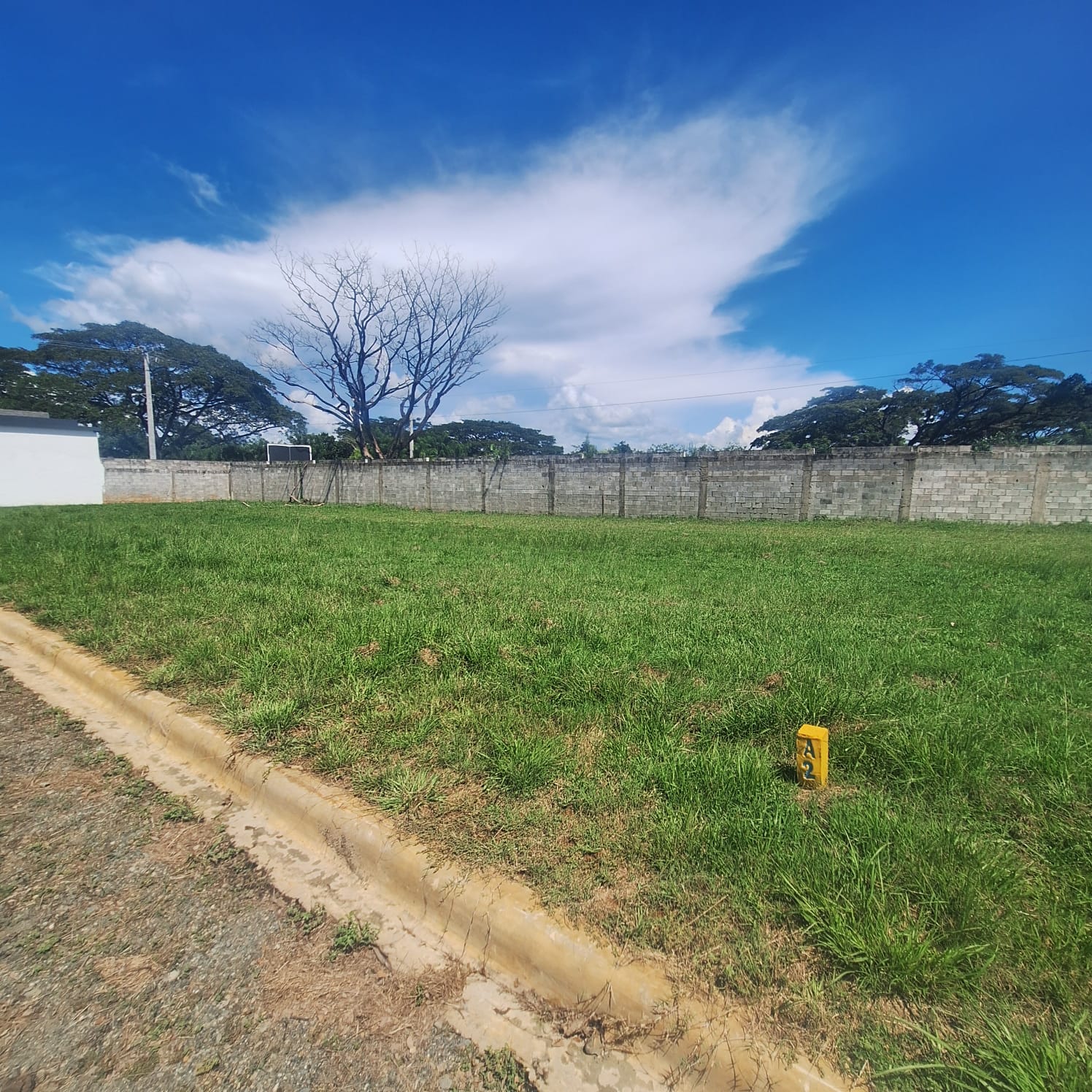 solares y terrenos - Solar en venta en Bonao  4