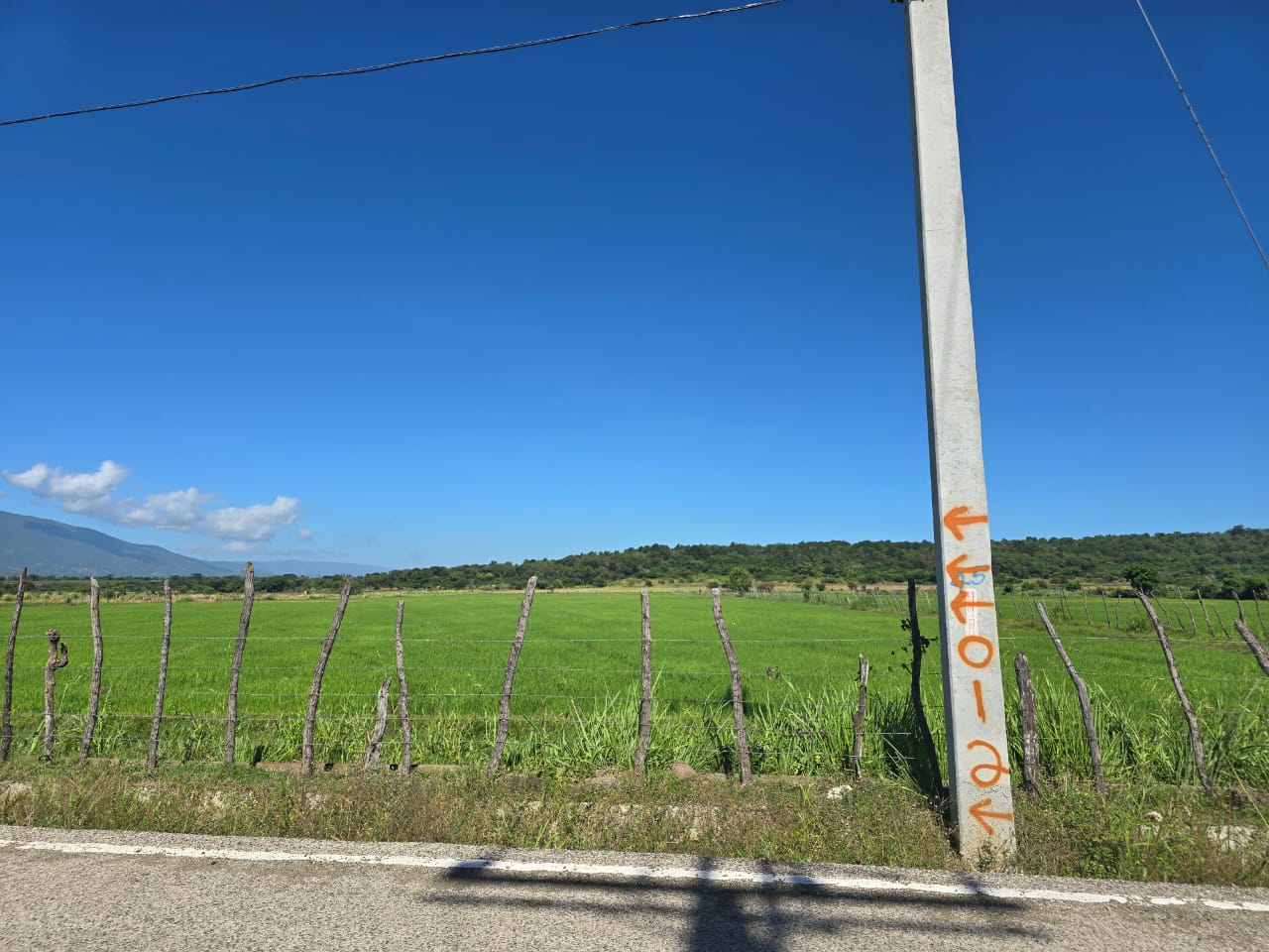 solares y terrenos - Terreno agrícola  0