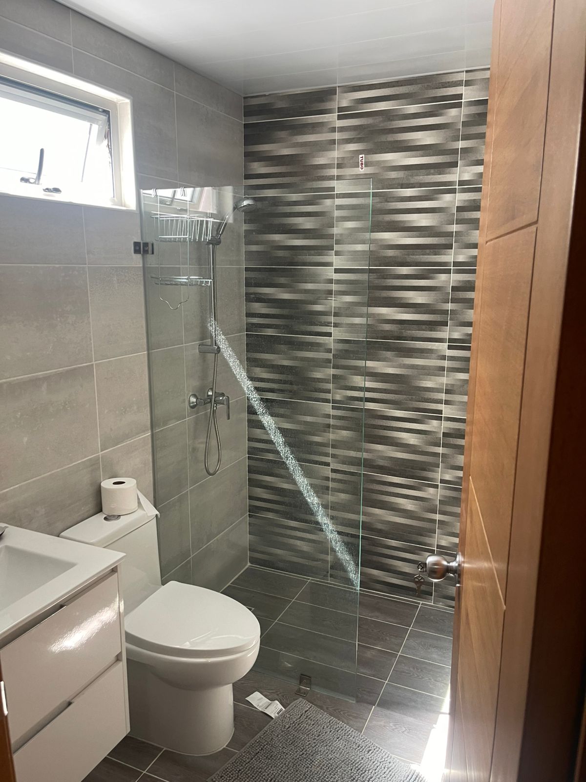 apartamentos - Apartamento en alquiler amueblado en Evaristo Morales  6