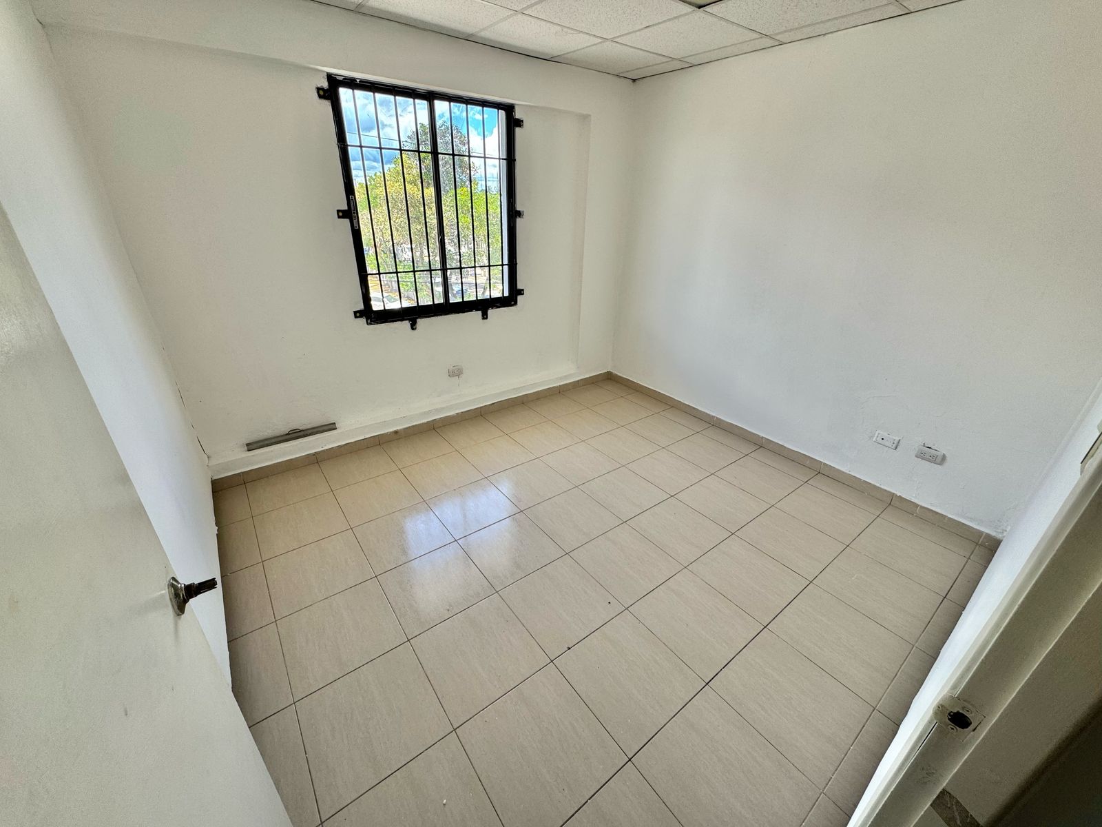 oficinas y locales comerciales - Local Comercial en Alquiler LA CASTELLANA 5