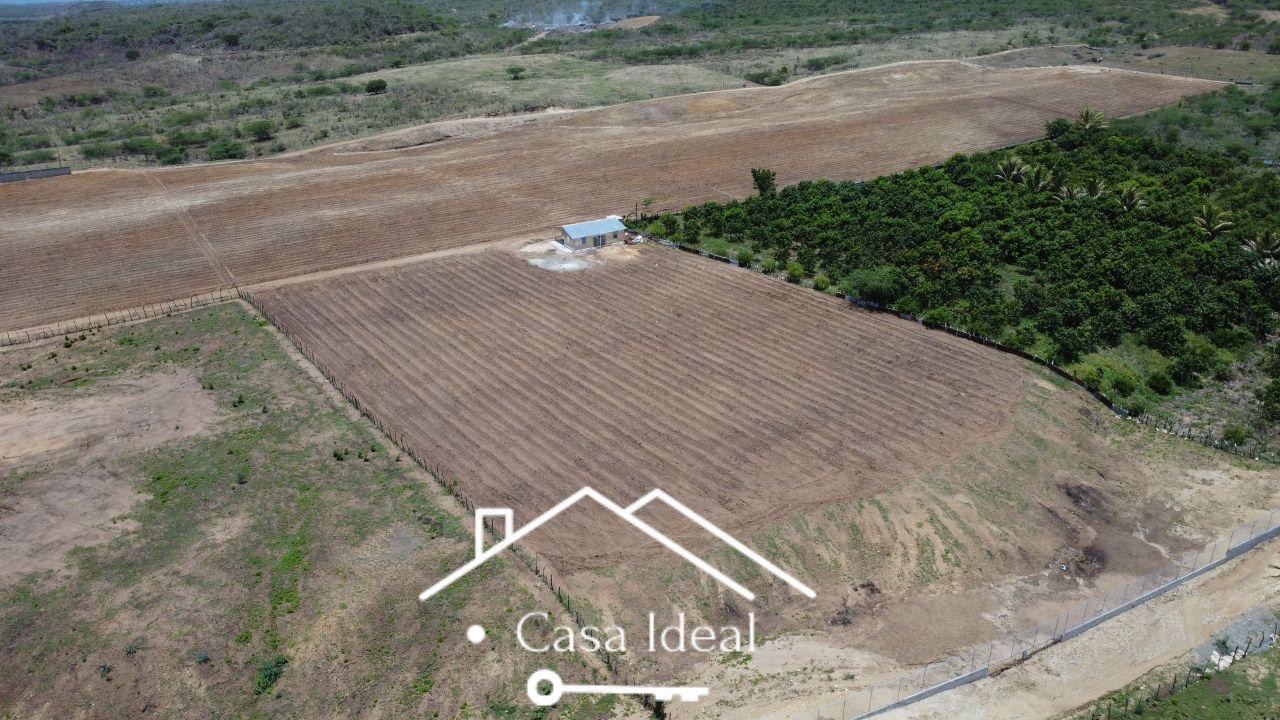 solares y terrenos - tierra lista para siembra las tablas Bani 90 tareas  1