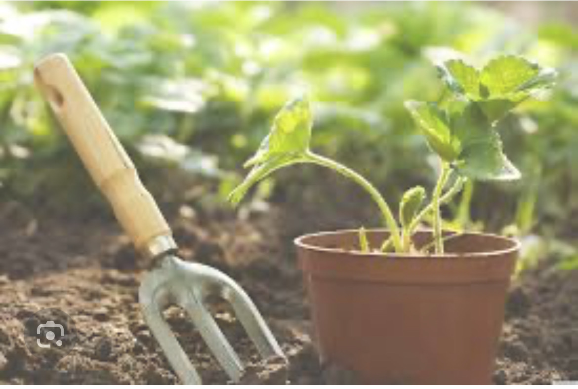 empleos disponibles - buscamos un jardinero con experiencia para trabajar 2 veces por semana. 