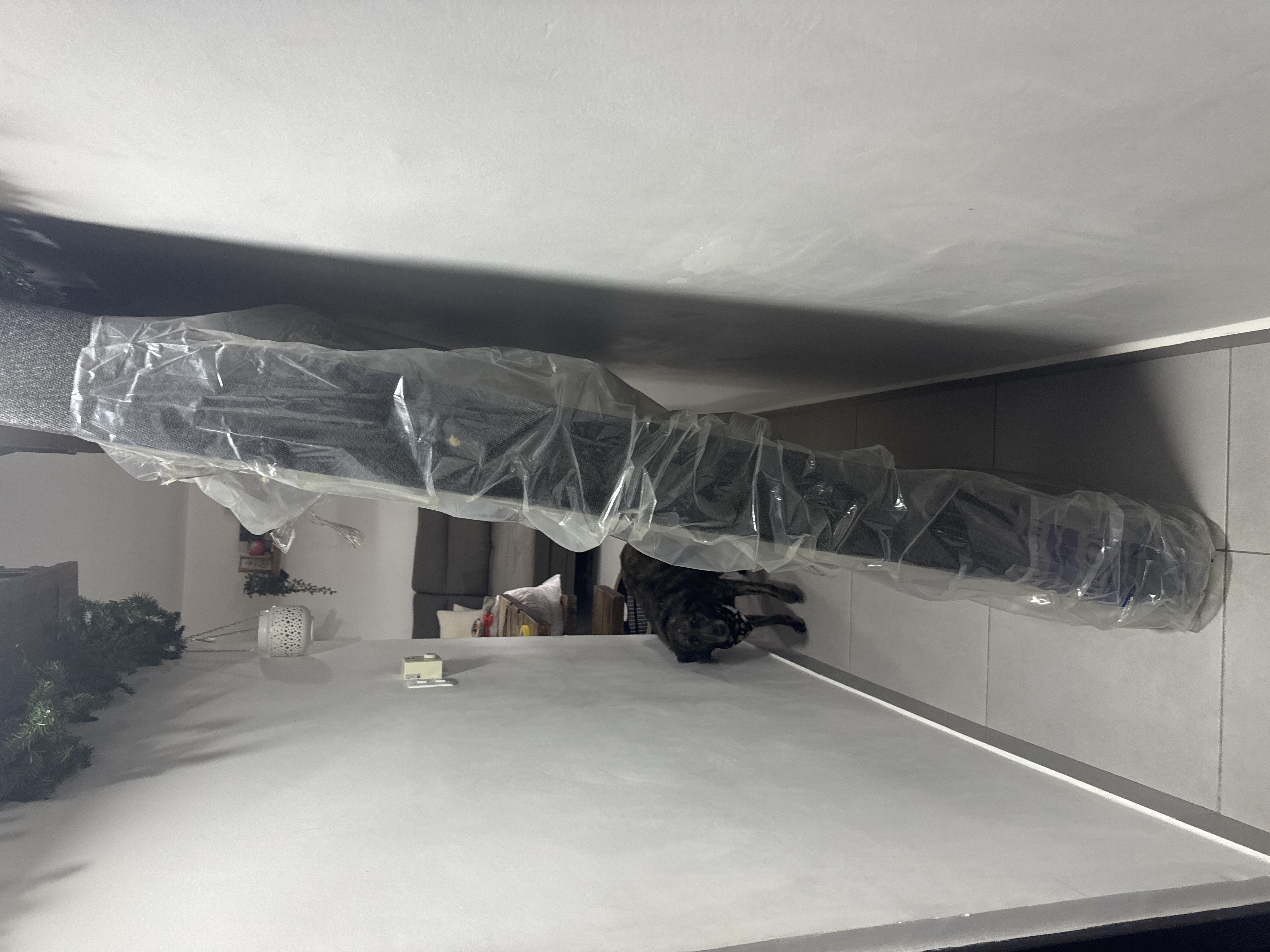 muebles y colchones - 2 Box spring para cama king, o para dos cama twin. 1