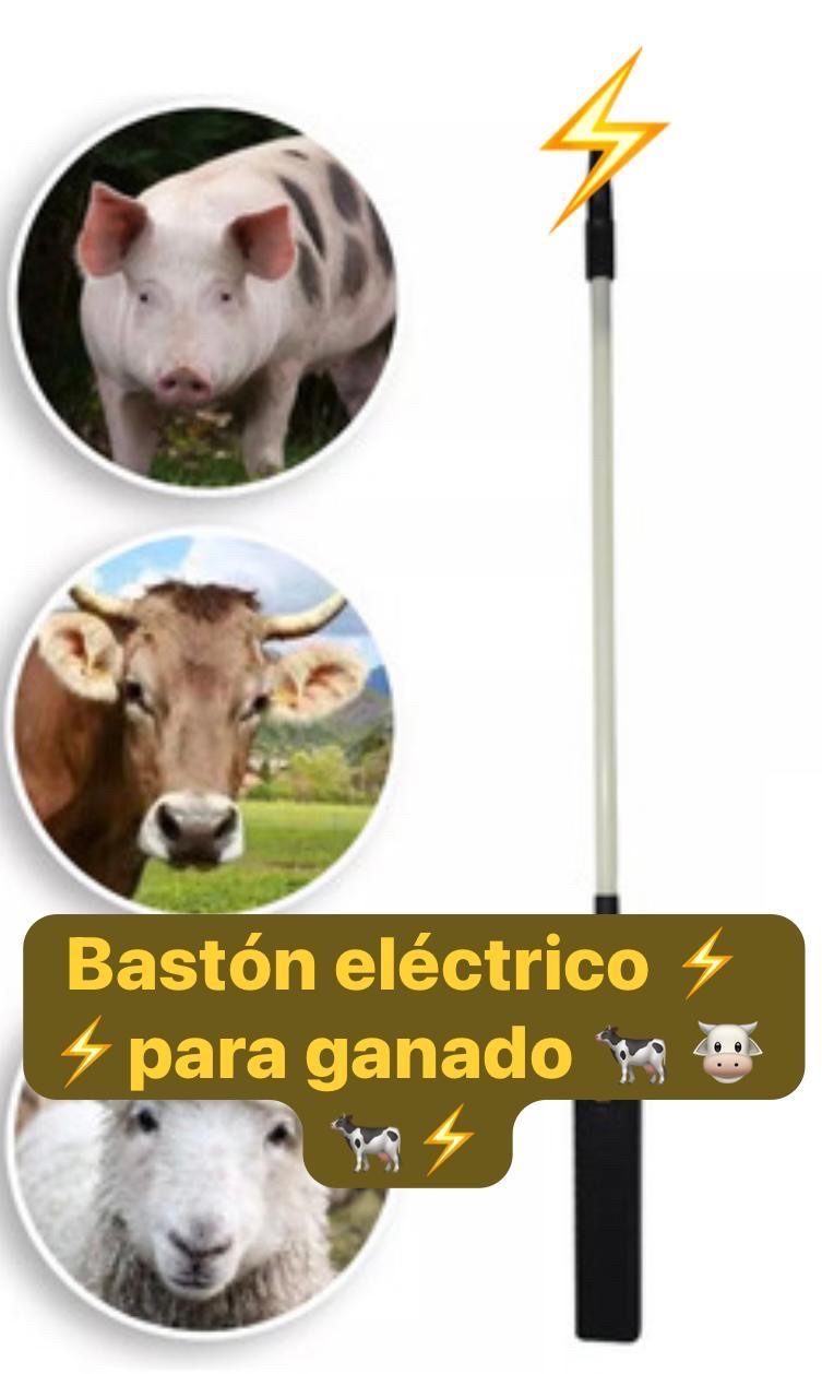 equipos profesionales - Baston  eléctrico  1