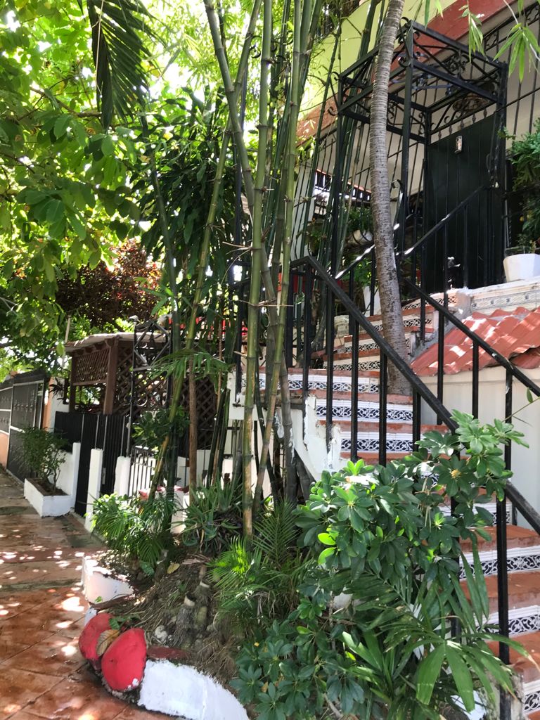 apartamentos - Apartamento de una habitacion amueblado 0