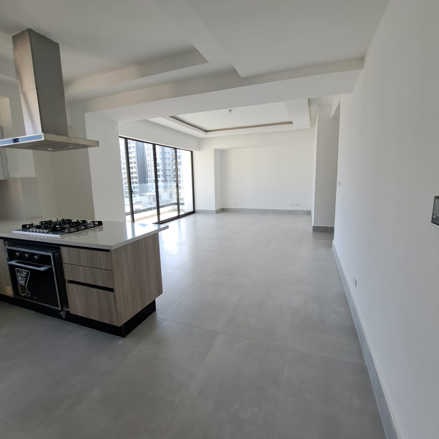 apartamentos - Apartamento en Alquiler en Naco 3