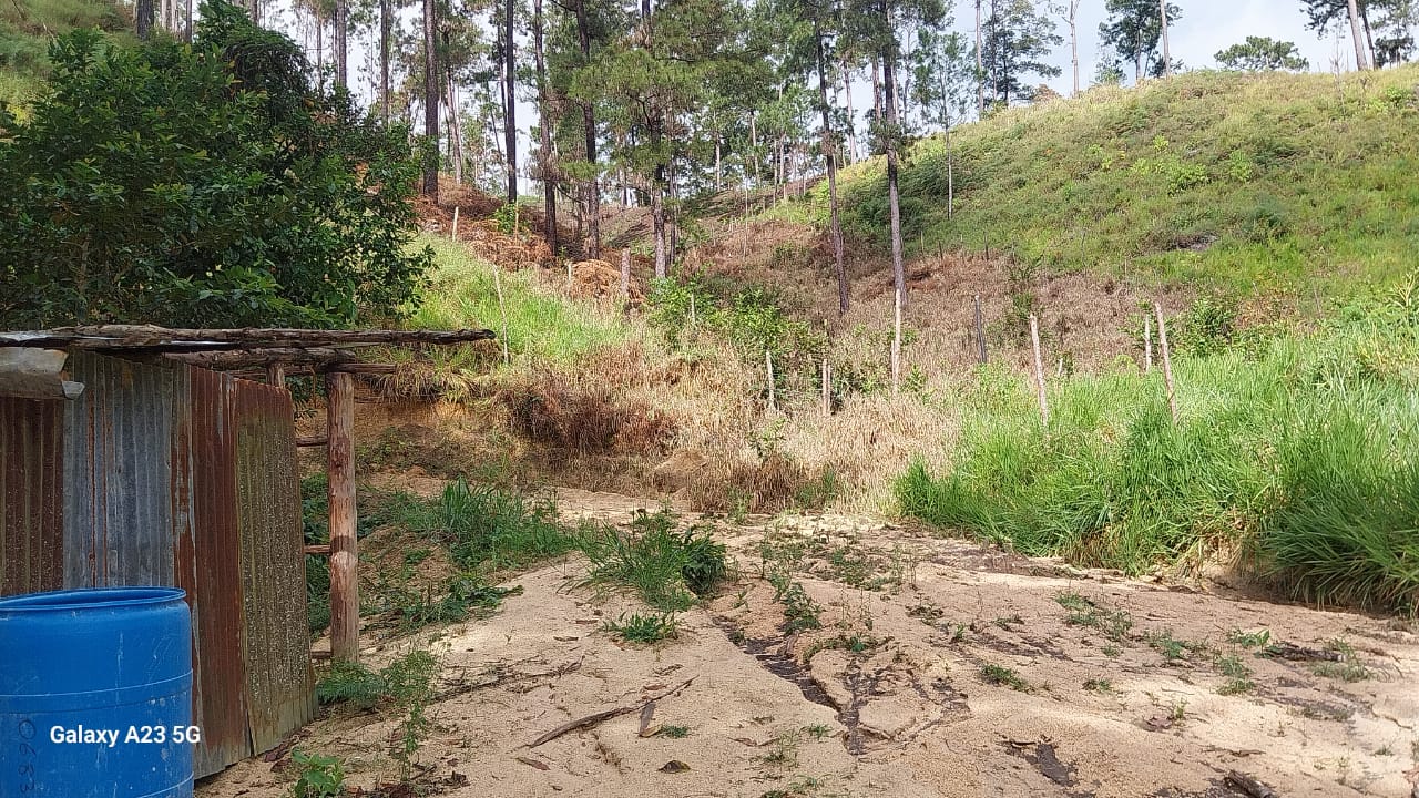 solares y terrenos - Finca en Venta – Jarabacoa, 50 Tareas con Título