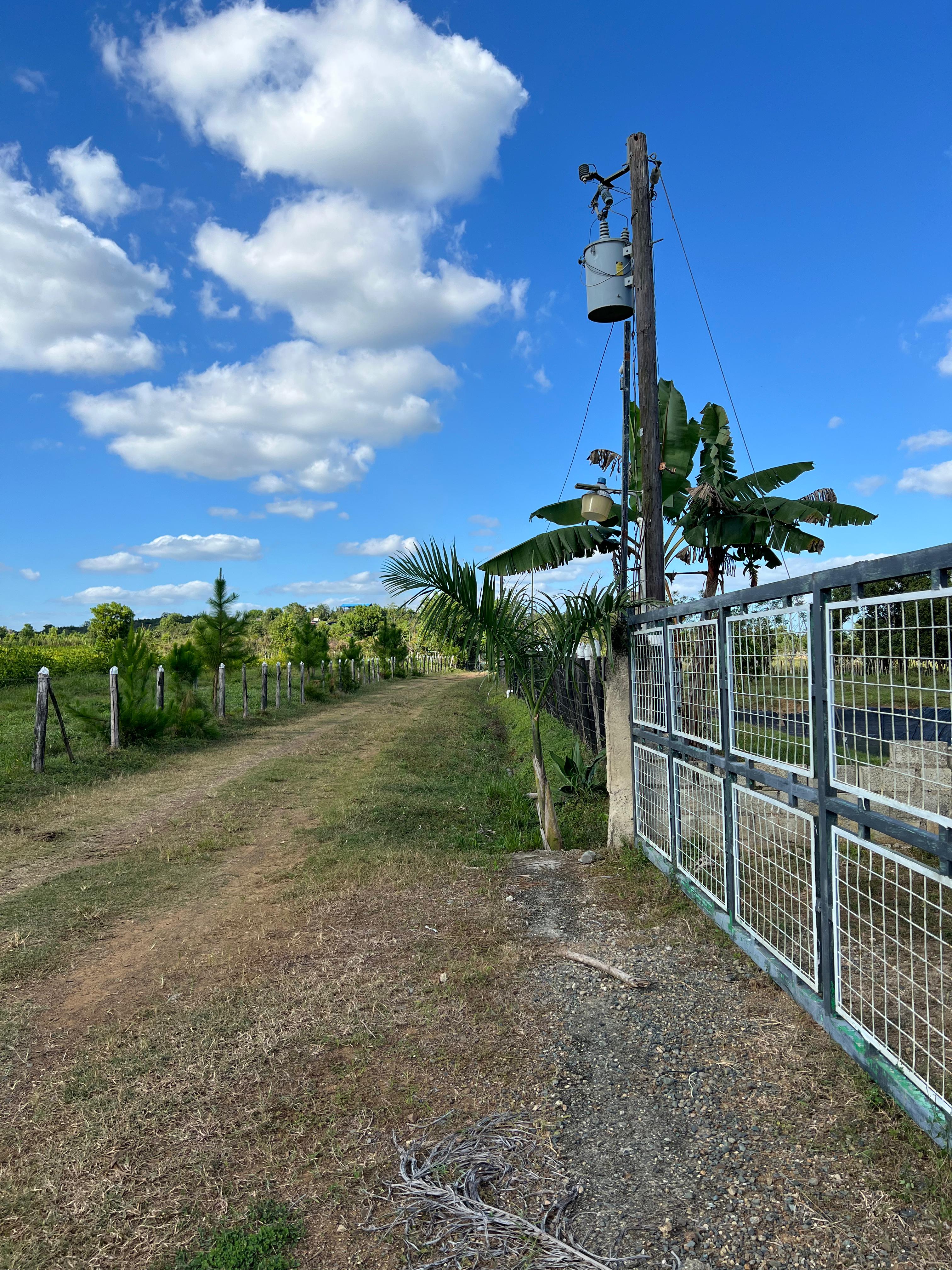 solares y terrenos - Finca GANADERA – AGRICOLA, de 386 tareas, con la major Ubicacion de Monte Plata 9