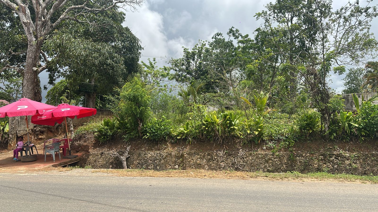 solares y terrenos - vendo terreno en Samaná vista al mar camino al salto de limón NEGOCIABLE  1