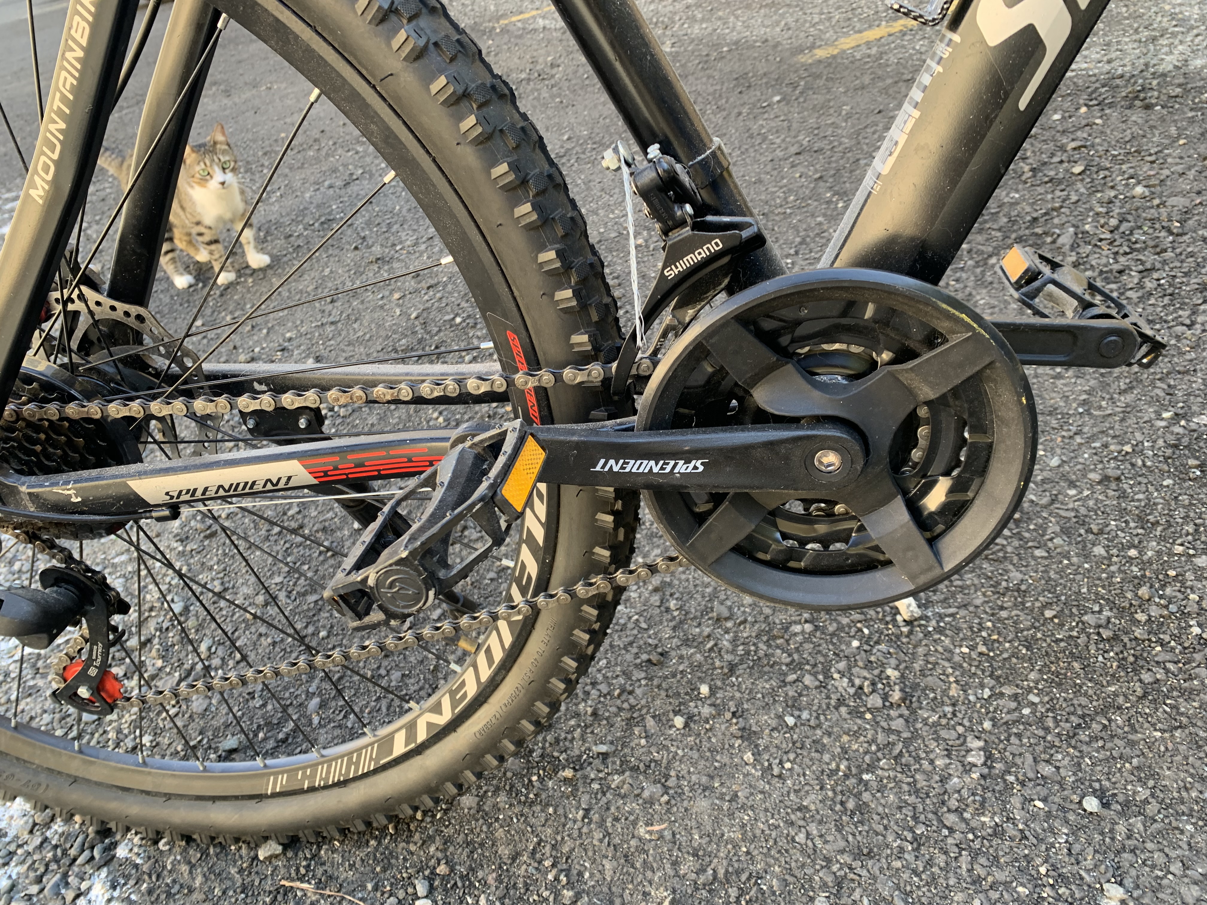 bicicletas y accesorios -  Bicicleta  MTB Splendent 5
