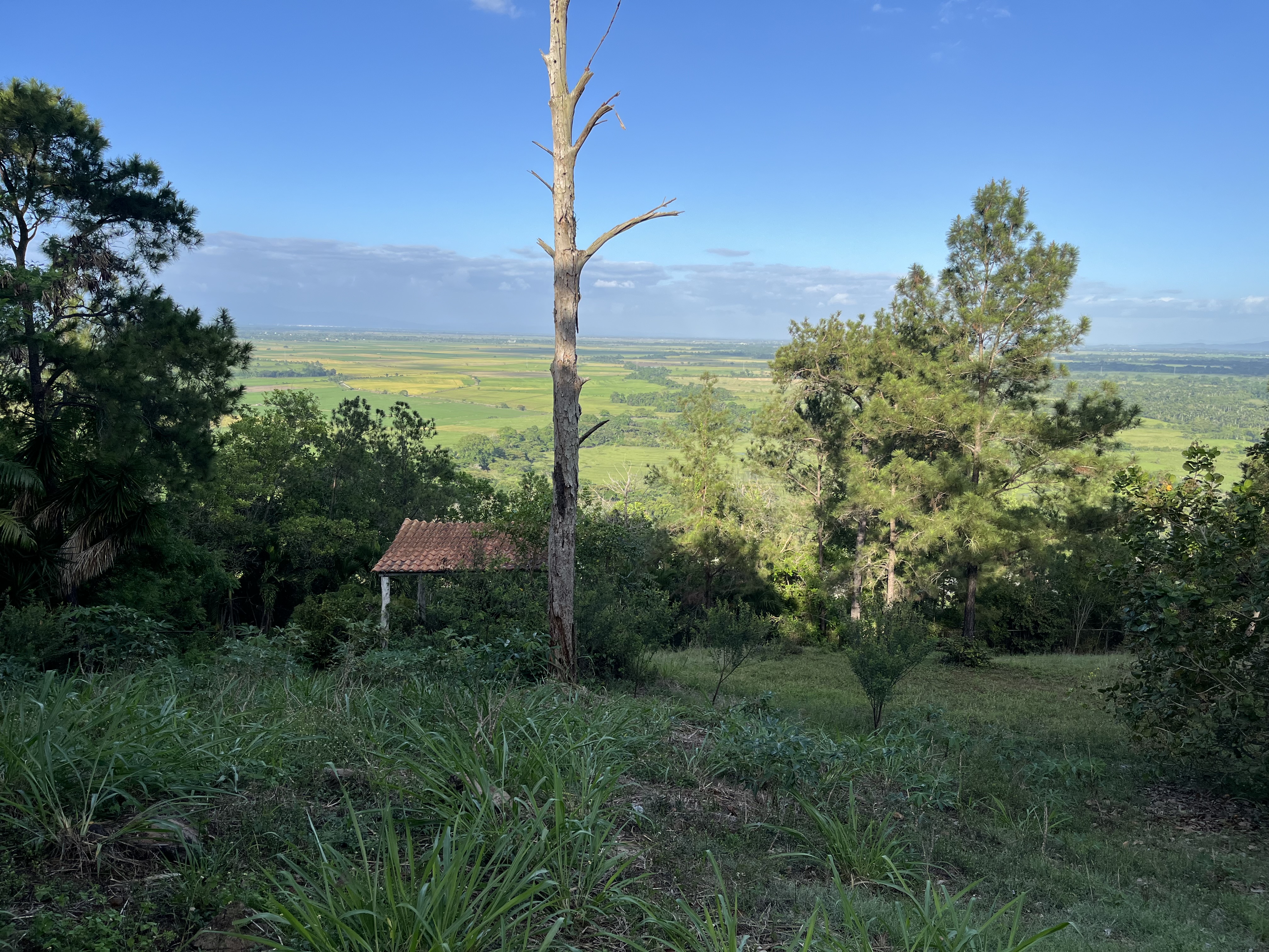 solares y terrenos - VISTA AL VALLE VEGA REAL ( VALLE VERDE)