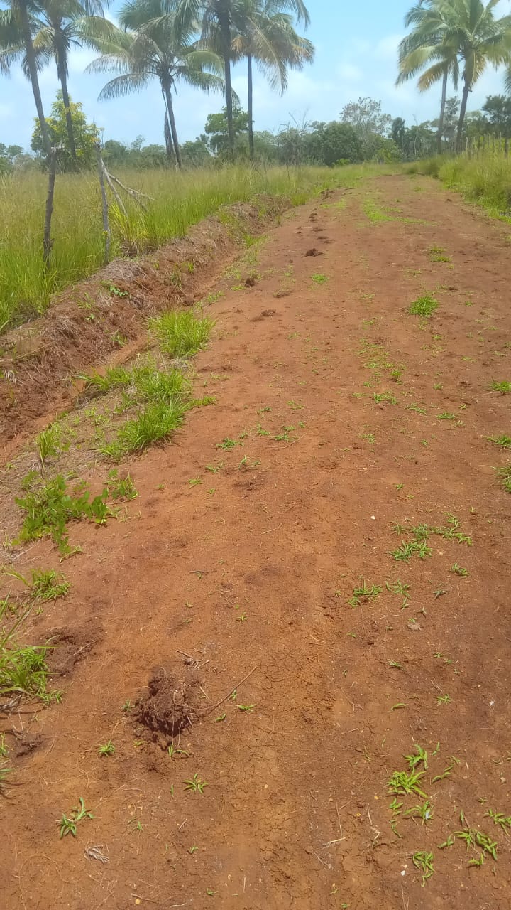 solares y terrenos - Finca en venta a 200mts de la Circunvalación  3
