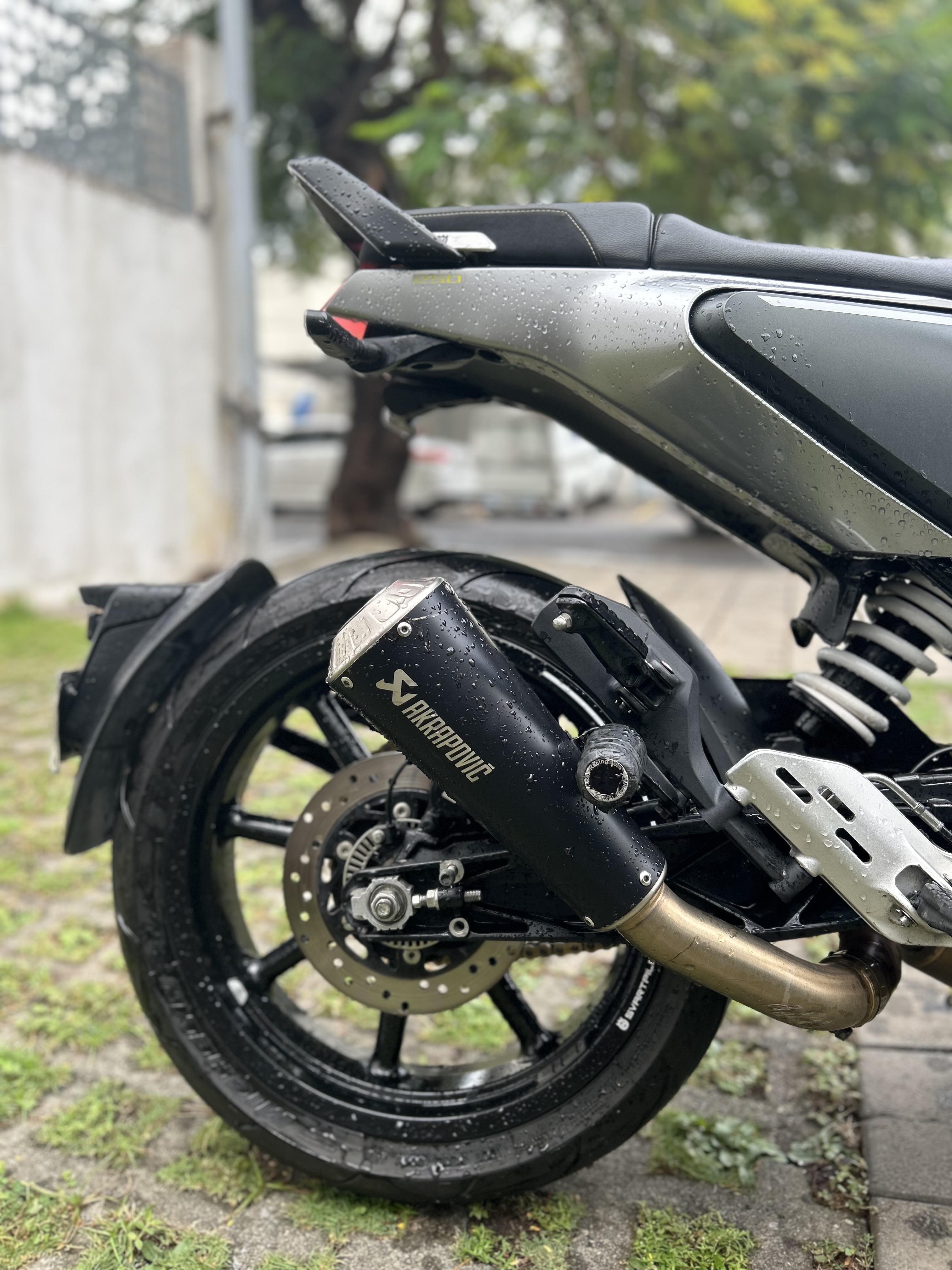 motores y pasolas - Svartpilen 250-2020 Husqvarna  5
