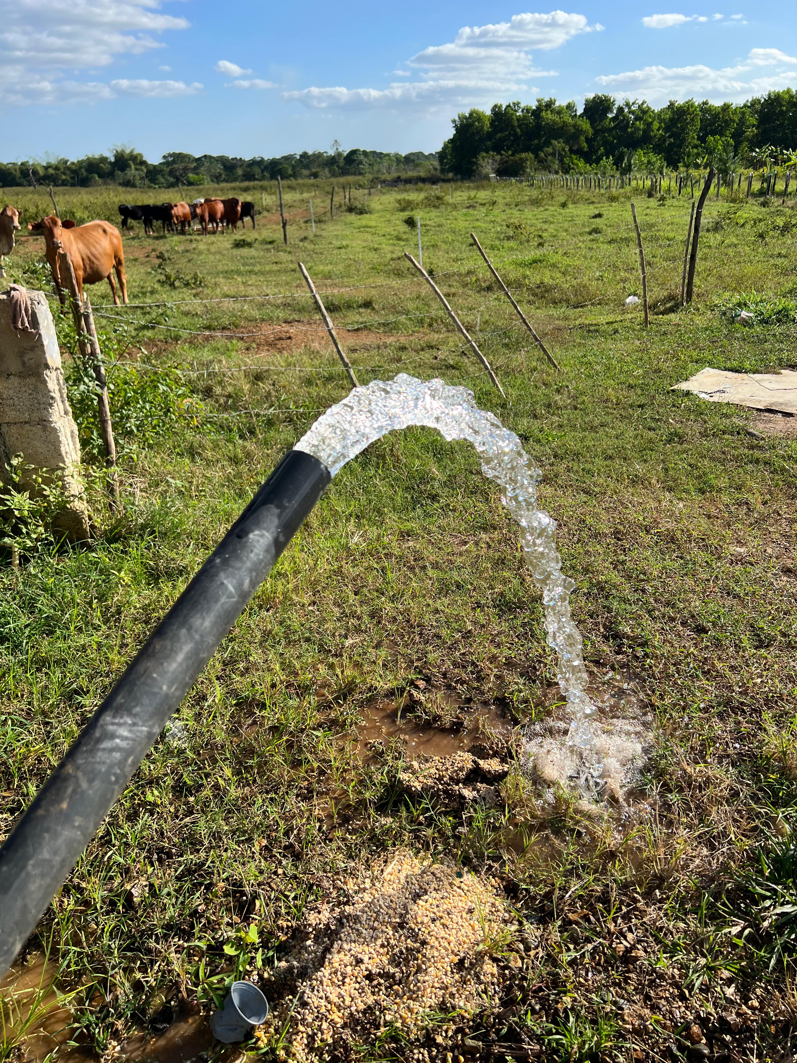 solares y terrenos - Finca GANADERA – AGRICOLA, de 386 tareas, con la major Ubicacion de Monte Plata 6