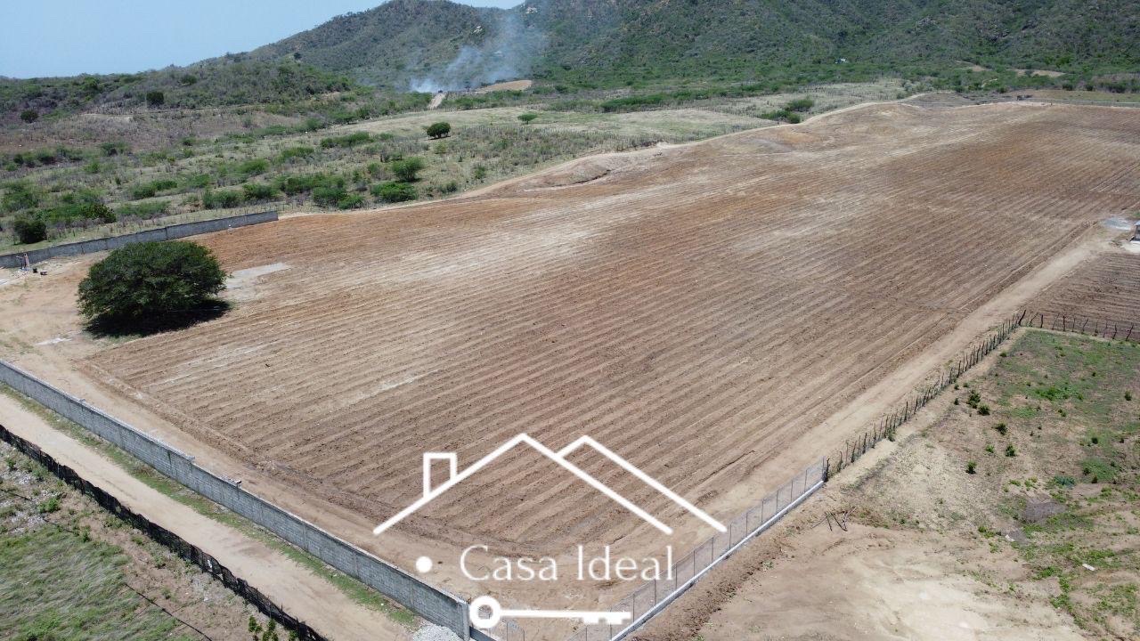 solares y terrenos - tierra lista para siembra las tablas Bani 90 tareas  2