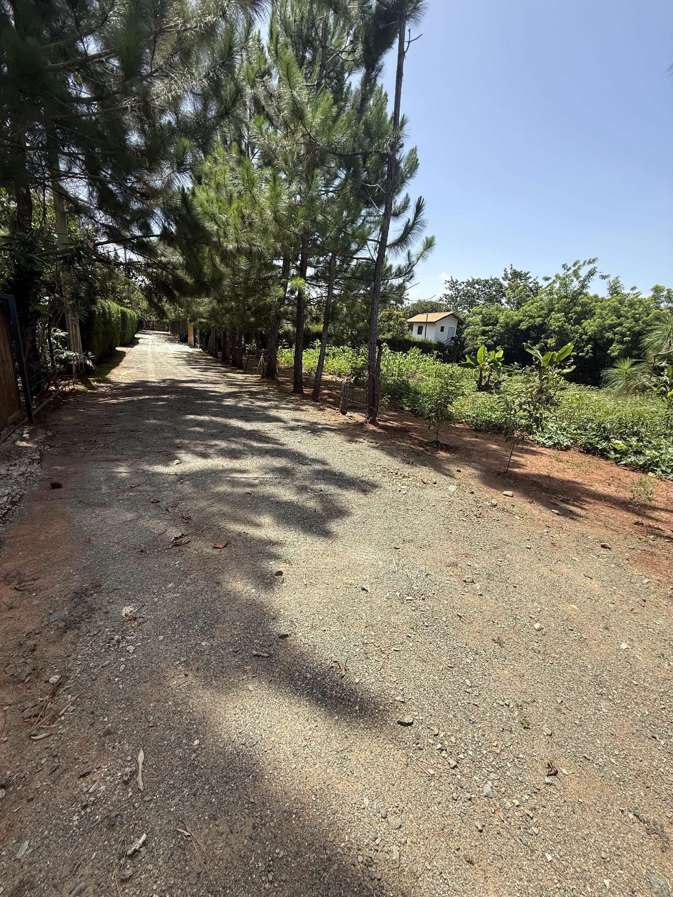 solares y terrenos - hermoso solar en venta jarabacoa a pocos minutos de la ciudad  2