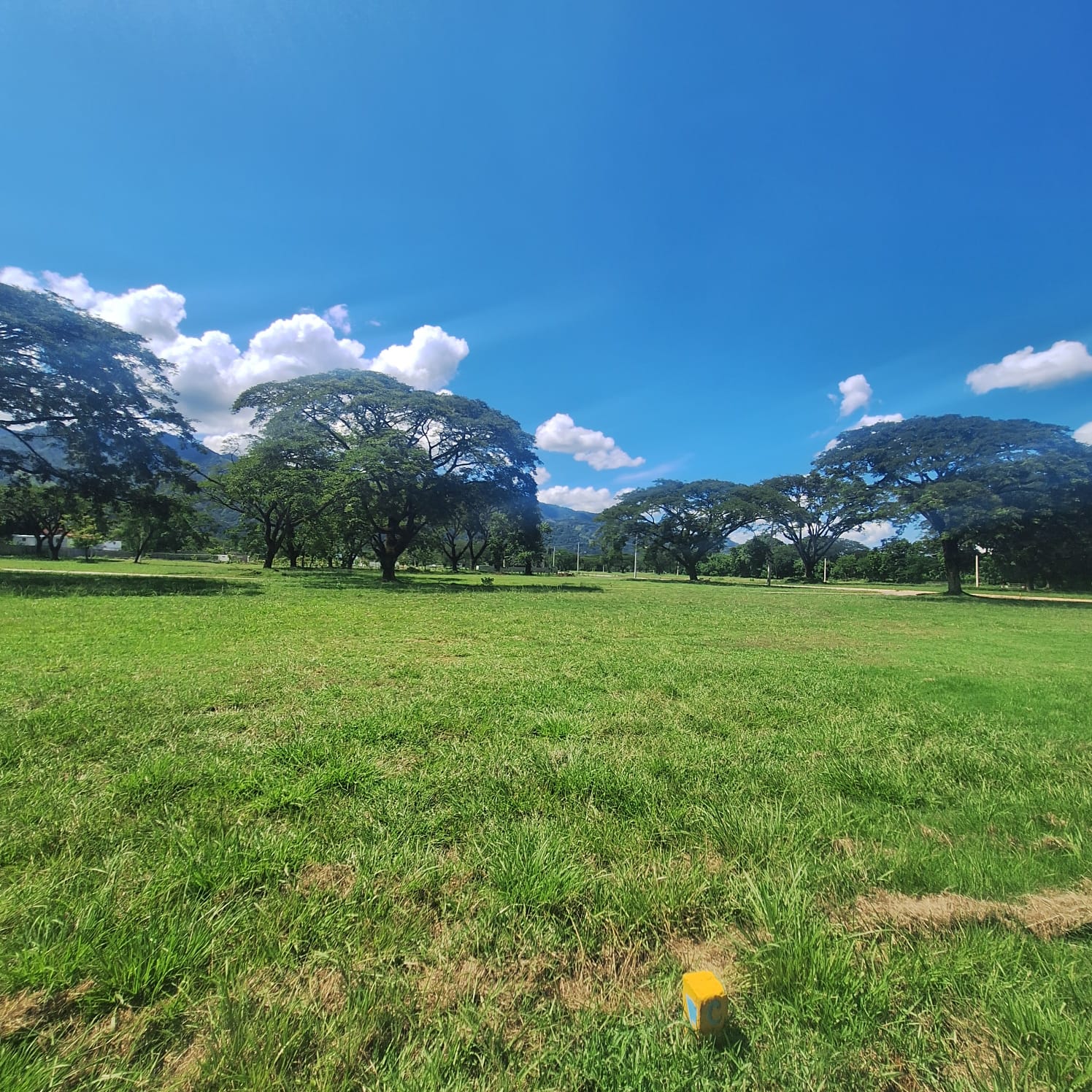 solares y terrenos - Solar en venta en Bonao  6