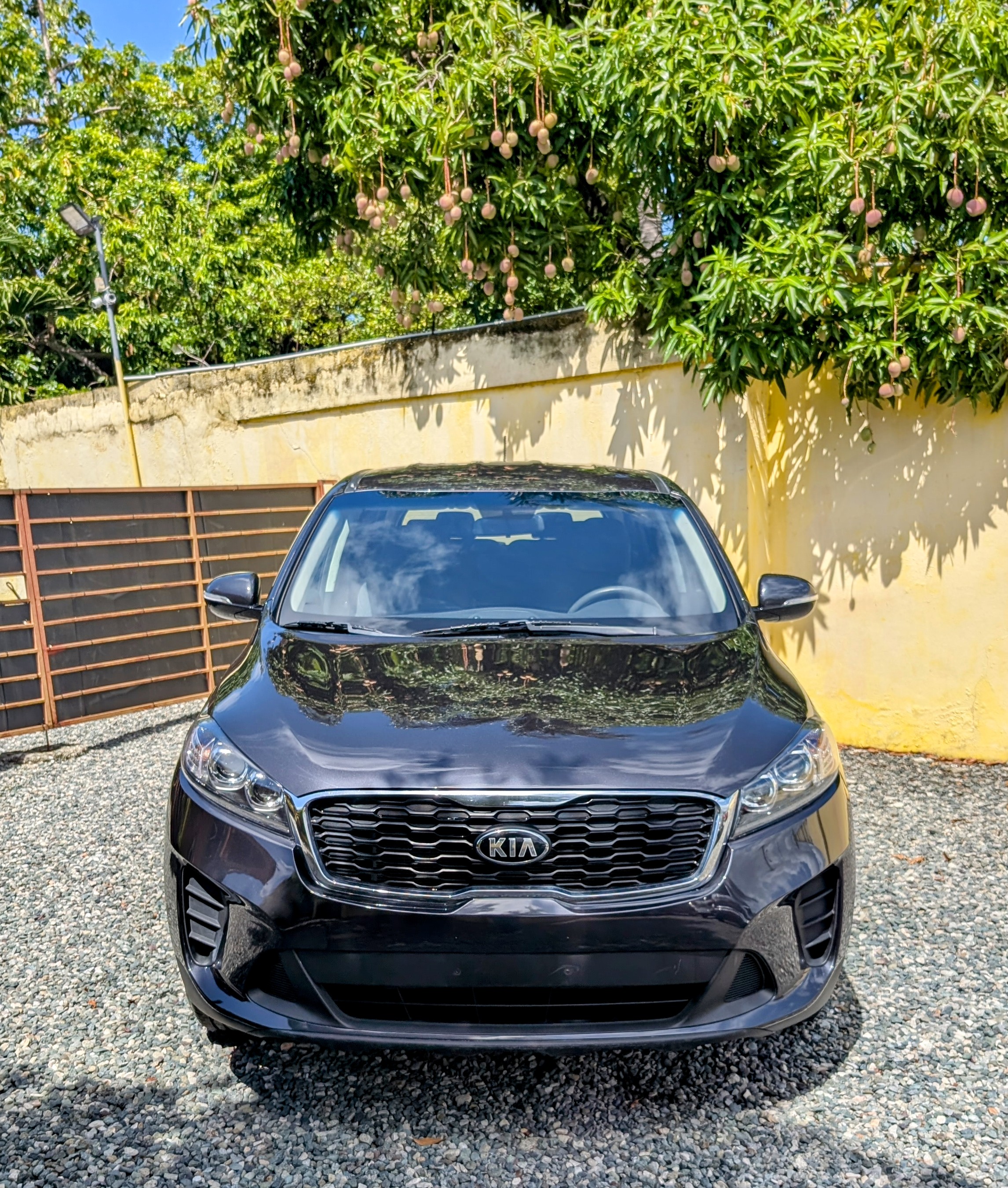 jeepetas y camionetas - Kia Sorento 2019 1